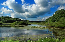 Erie National Wildlife Refuge (Sugar Lake Division) in Randolph Township