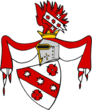 Coat of arms of the Zvijezdić family