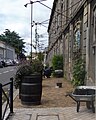 Trottoirs végétalisés rue de Son-Tay.