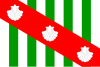 Flag of Canavieiras