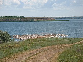 photograph of estuary