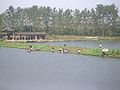 A pond system in Daye, Hubei, China.