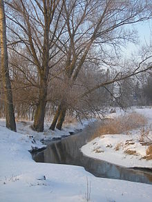 Kurówka River 01 Poland.JPG