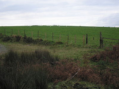 Ancient mounds - geograph.org.uk - 1010269.jpg