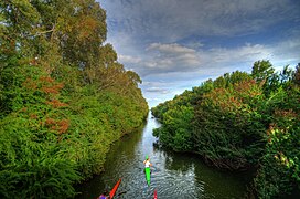 Canoe al fiume Mammaiabica