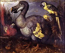 An oil painting depicting a red-feathered parrot with yellow wingtips; a large, ungainly, duck-like bird with grey, white and yellow feathers; a parrot with a black back, yellow breast, and a yellow and black tail; and a brown-feathered bird with a long bill eating a frog