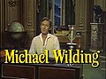 Michael Wilding