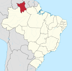 Situasión de Roraima