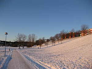 Hjulsta, vintertid.