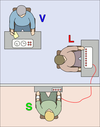 The participant (L) believes the actor (S) is another participant, and that the electrical shocks are real