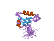 2dkr: Solution structure of the PDZ domain from human Lin-7 homolog B