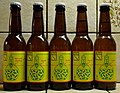 Single Hop Science bieren