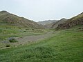 Steppe micro-climate in Yolyn Am.