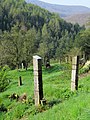 Protestant cemetery