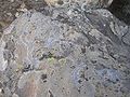 Petroglyph in Roque Bentayga, Gran Canaria (Canary Islands).