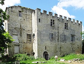 Image illustrative de l’article Château d'Escalup