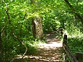 A nature trail in the park