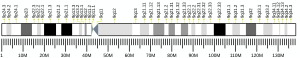 Chromosome 9 humain