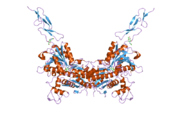 2e4w​: Kristalna struktura ekstracelularnog regiona grupe II metabotropnog glutamatog receptora u kompleksu sa 1S,3S-ACPD