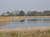 Redgrave and Lopham Fens