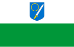 Võru – vlajka