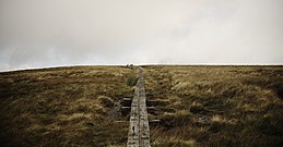 Boardwalk on White Hill