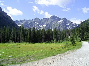 Widok z polany na Mięguszowieckie Szczyty