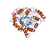 2i17: Human aldose reductase in complex with NADP+ and the inhibitor IDD594 at temperature of 60K