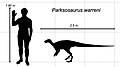 Parksosaurus Scale Diagram