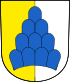 Blason de Salenstein