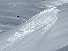 Fotografie deskové laviny. V horním pravém rohu je vidět koruna laviny – místo odtrhu, v dolním levém rohu akumulace laviny – sníh rozdrobený na jednotlivé kry a hroudy. Samotná lavinová dráha jde diagonálně přes fotografii.