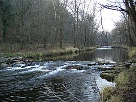 De Schwechat in het Helenental bij Baden