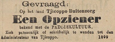 Advertentie voor een opziener op Tjicoppo