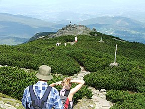 Der Gipfel des Babia Góra