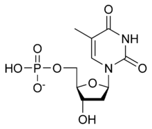 DTMP chemical structure.png