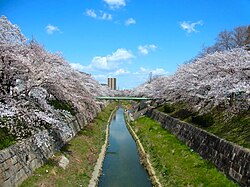 Yamazaki Nehri