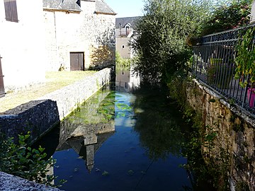 La Borrèze dans le bourg de Borrèze.