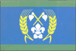 Vlag