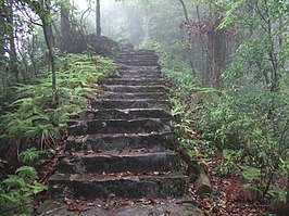 Trap in de hellingbossen van Fanjingshan