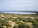 Punta Entinas, Sabinar