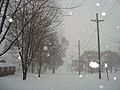 Clarinda sous la neige - Décembre 2009.