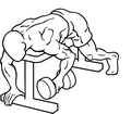 Unilateral lying dumbbell fly begin