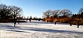 Patinoire de l'étang