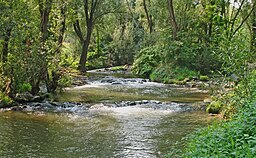 Floden vid Lutzmannsburg.