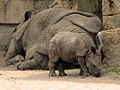 Tierpark Mai 08