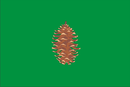 Drapeau de El Pinar de El Hierro