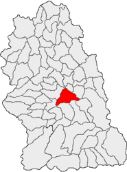 Location in Hunedoara County