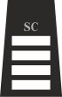 Special Superintendant Rank Insignia with SC & Crowns