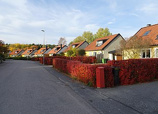 Gula kedjehus vid Polovägen.