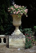 Fleurs dans un « vase Médicis ».